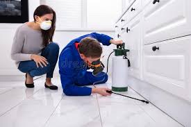 Best Residential Pest Control  in Ralls, TX